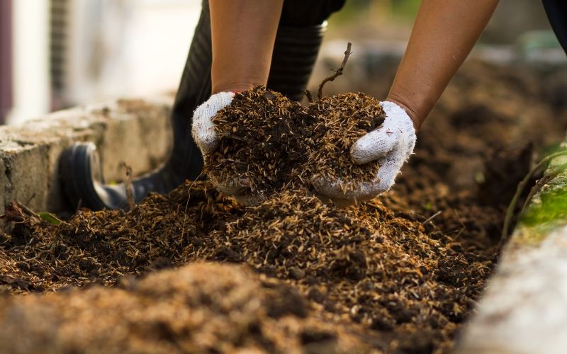 Quy trình ủ phân bắc đúng kỹ thuật