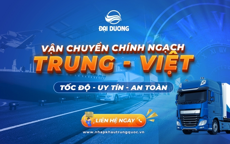 công ty Đại Dương Logistics