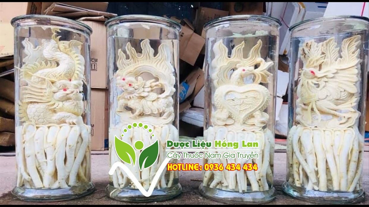 Dược liệu Hồng Lan