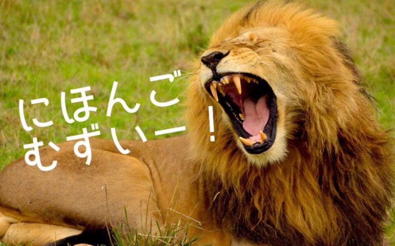 Cải thiện phát âm qua các bài hát tiếng Nhật