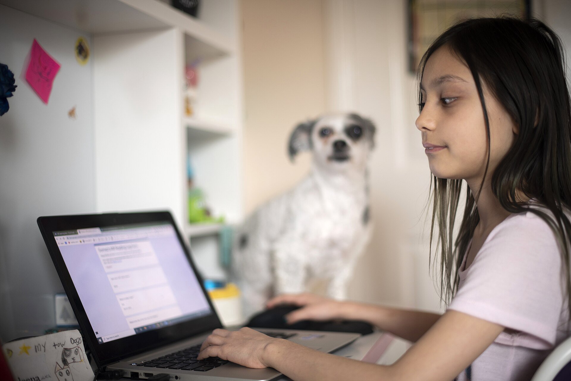 thị trường elearning Việt Nam